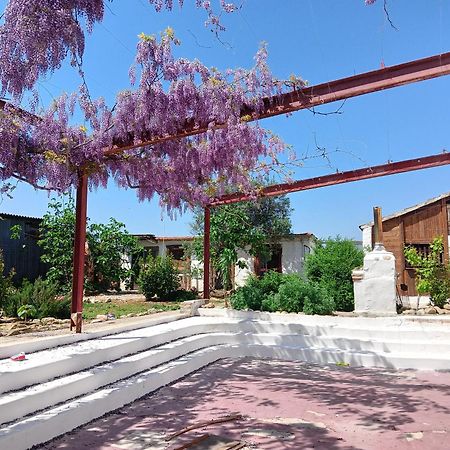 B&B Il Secolo Breve Ortona Exterior foto
